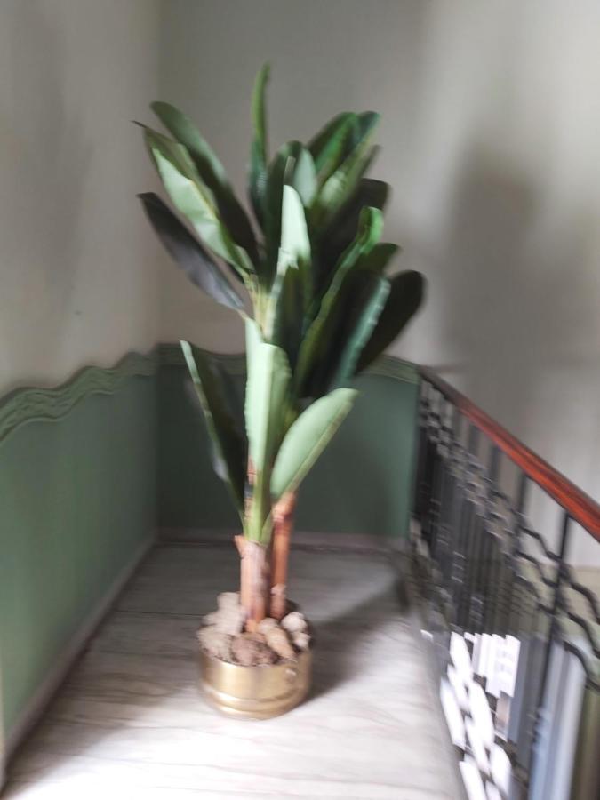 Costa E Mare Apartment Savona Bagian luar foto
